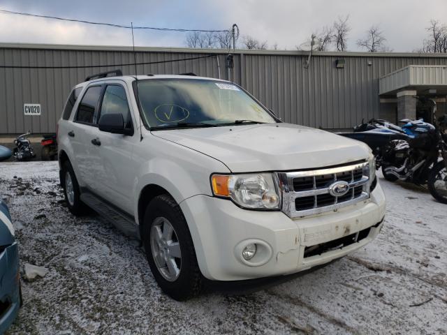 Ford Escape xlt (2010)