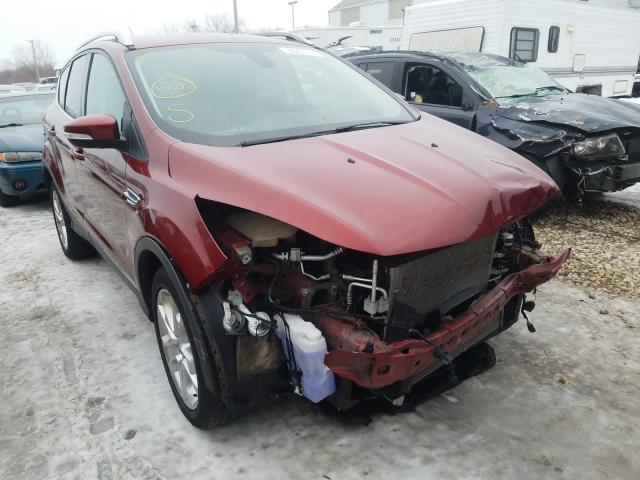 Ford Escape tit (2014)