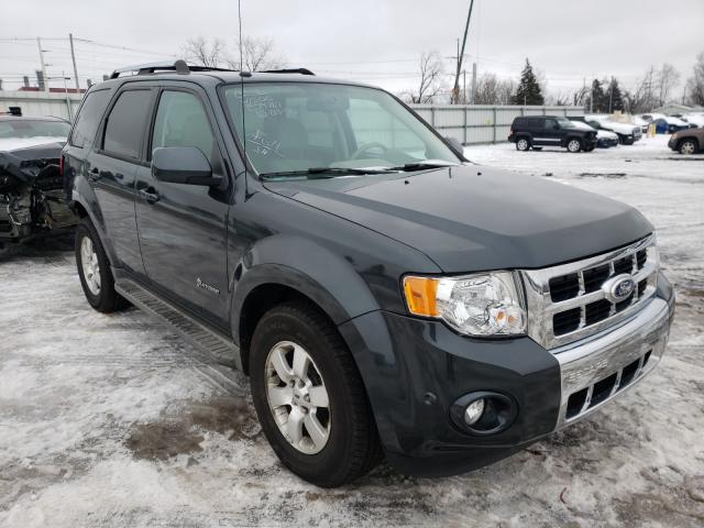 Ford Escape hyb (2010)