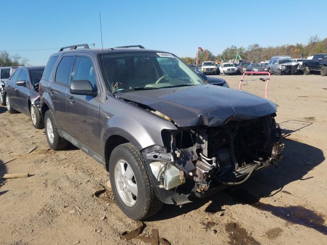Ford Escape xlt (2011)