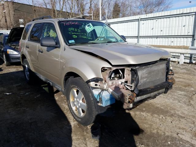 Ford Escape xlt (2010)
