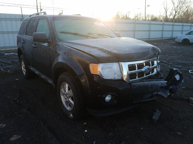 Ford Escape xlt (2010)