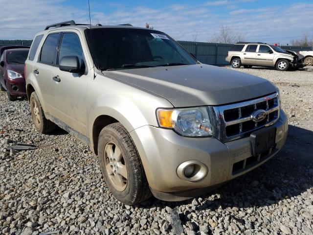 Ford Escape xlt (2010)