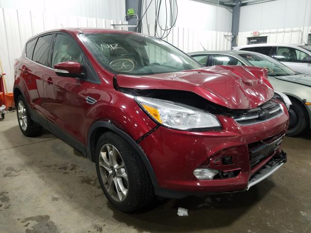 Ford Escape sel (2013)