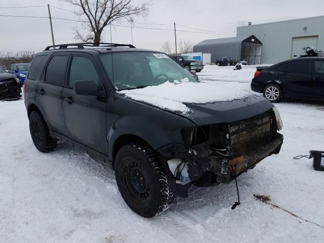 Ford Escape xlt (2011)