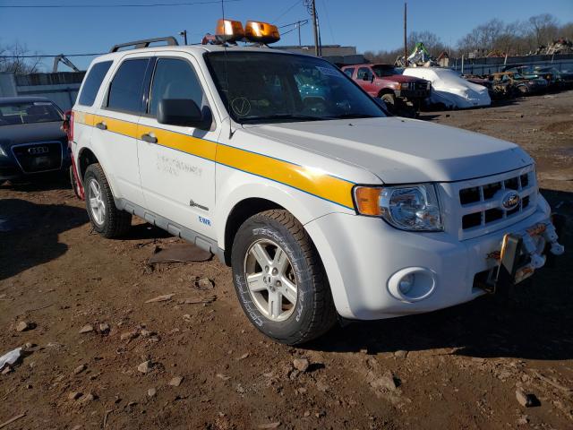 Ford Escape hyb (2010)