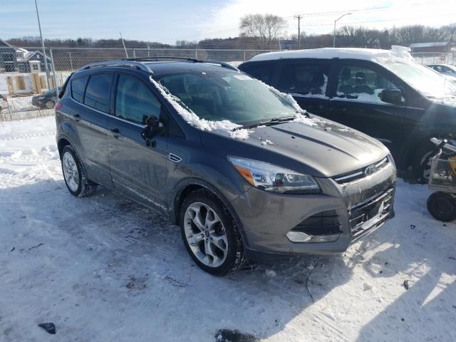 Ford Escape tit (2014)
