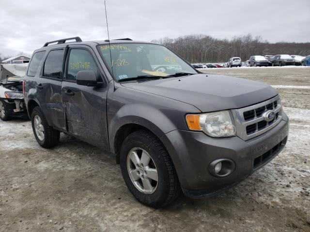 Ford Escape xlt (2011)