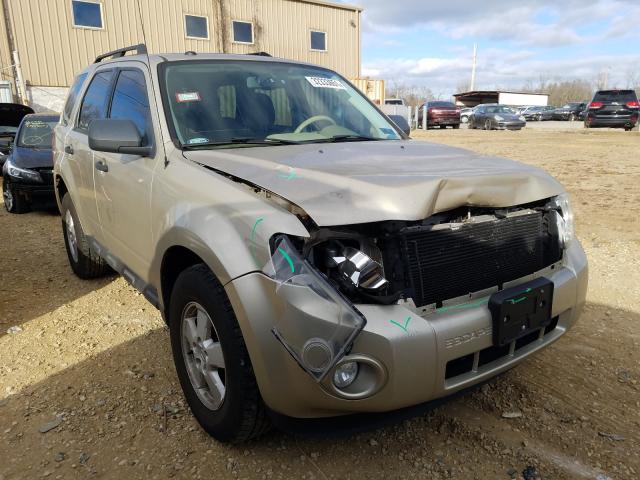 Ford Escape xlt (2010)