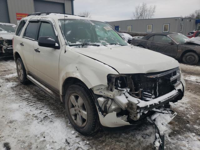 Ford Escape xlt (2010)