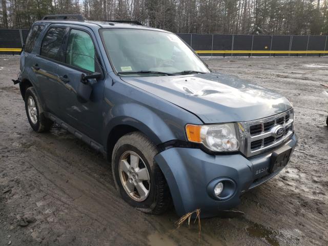 Ford Escape xlt (2011)