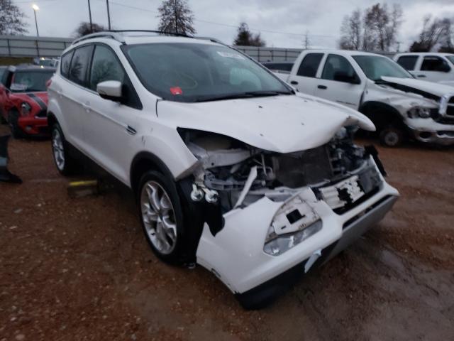 Ford Escape tit (2013)