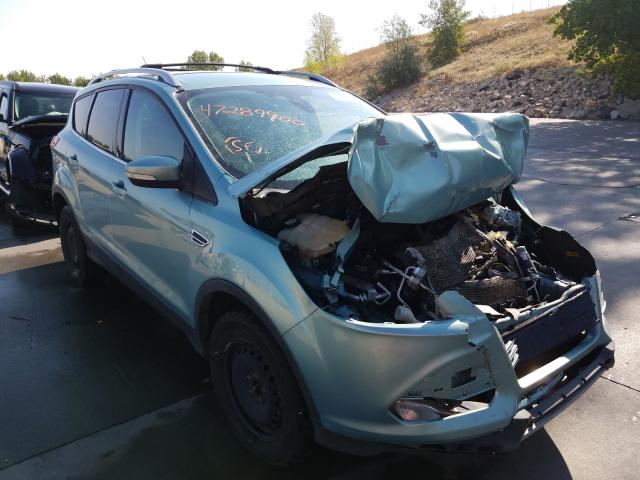 Ford Escape tit (2013)
