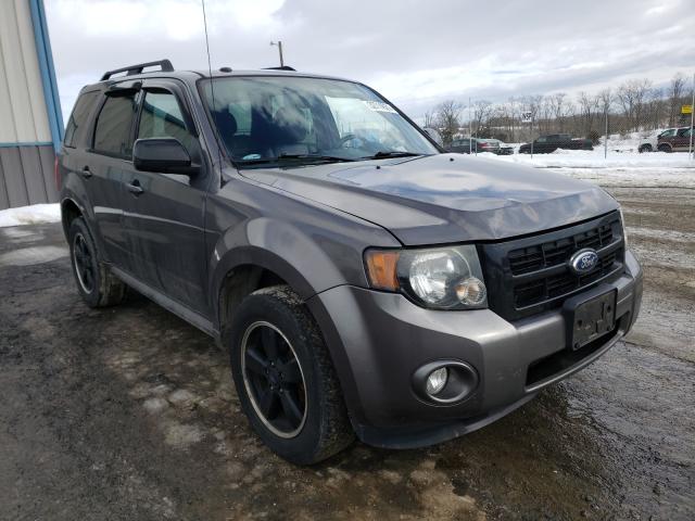 Ford Escape xlt (2011)