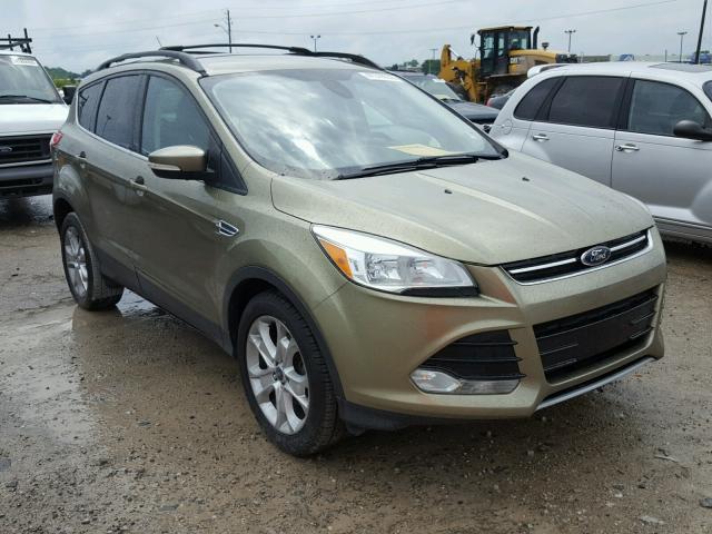 Ford Escape sel (2013)