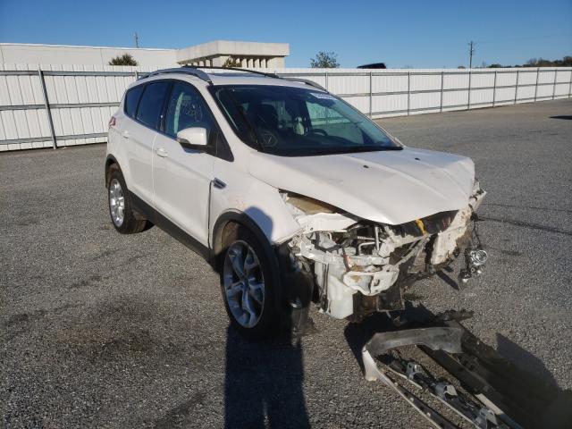 Ford Escape tit (2013)