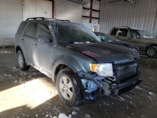 Ford Escape xlt (2012)