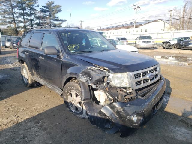 Ford Escape xlt (2011)