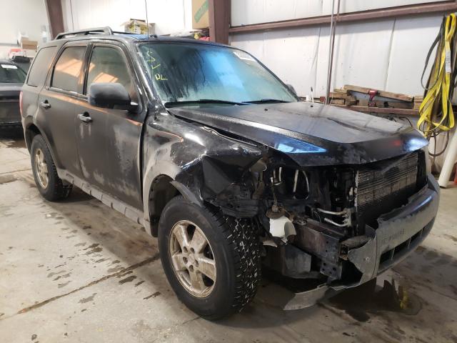 Ford Escape xlt (2011)