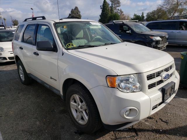 Ford Escape hyb (2010)