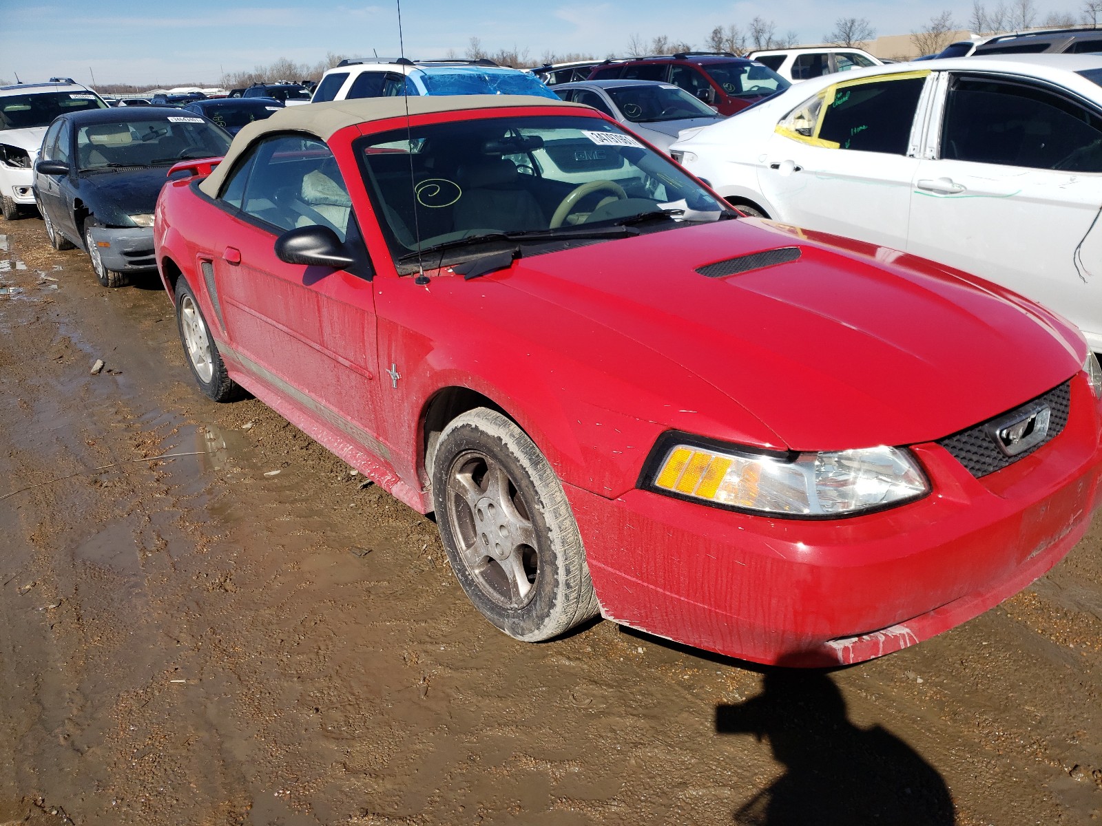 Ford Mustang (2002)
