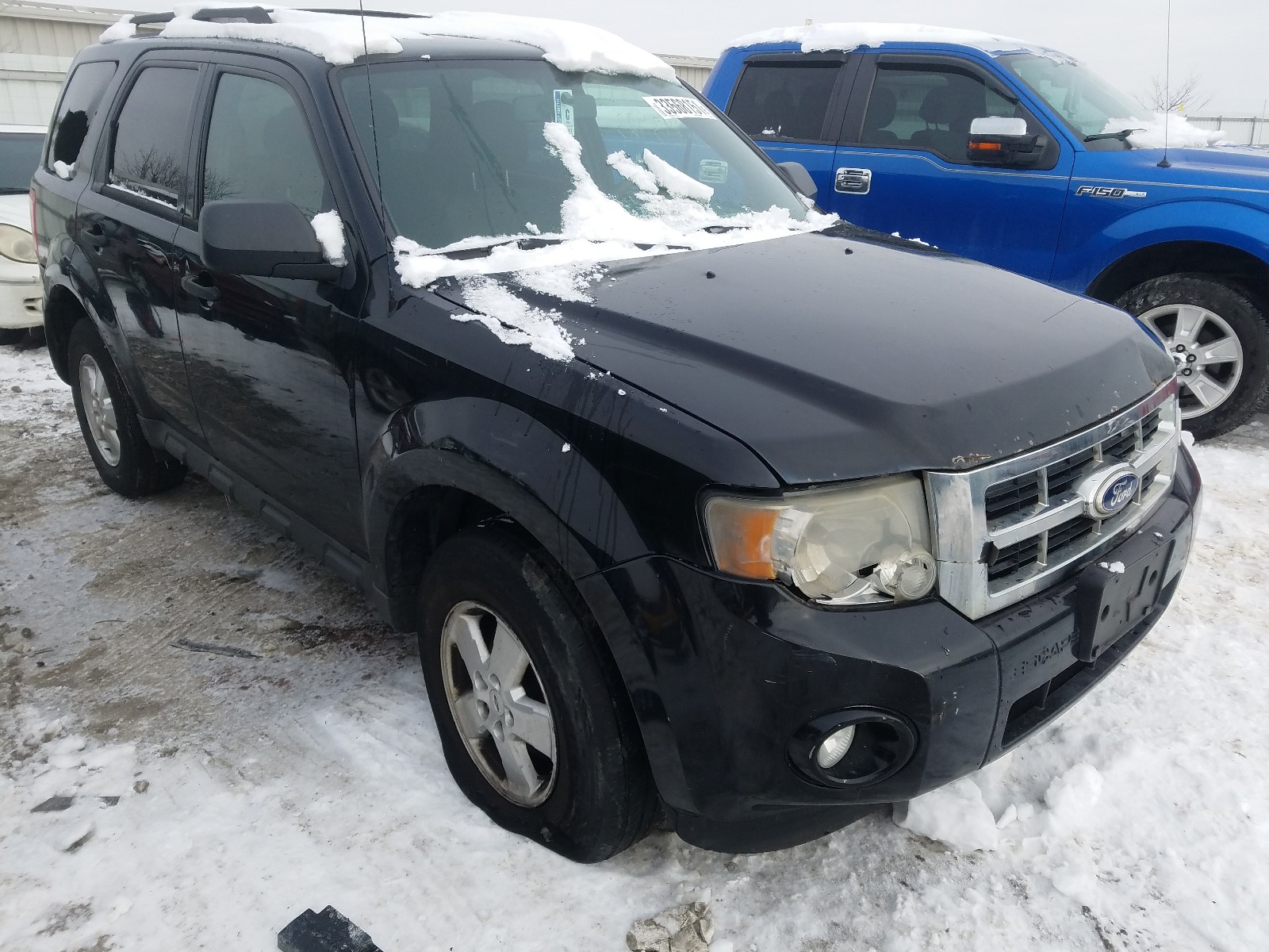 Ford Escape xlt (2010)