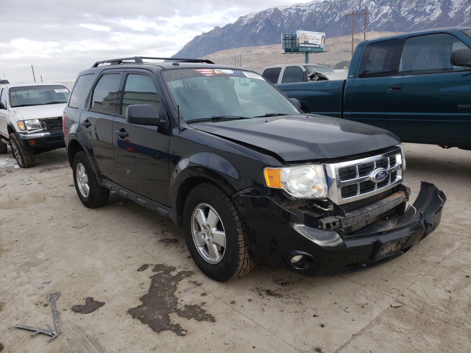 Ford Escape xlt (2011)