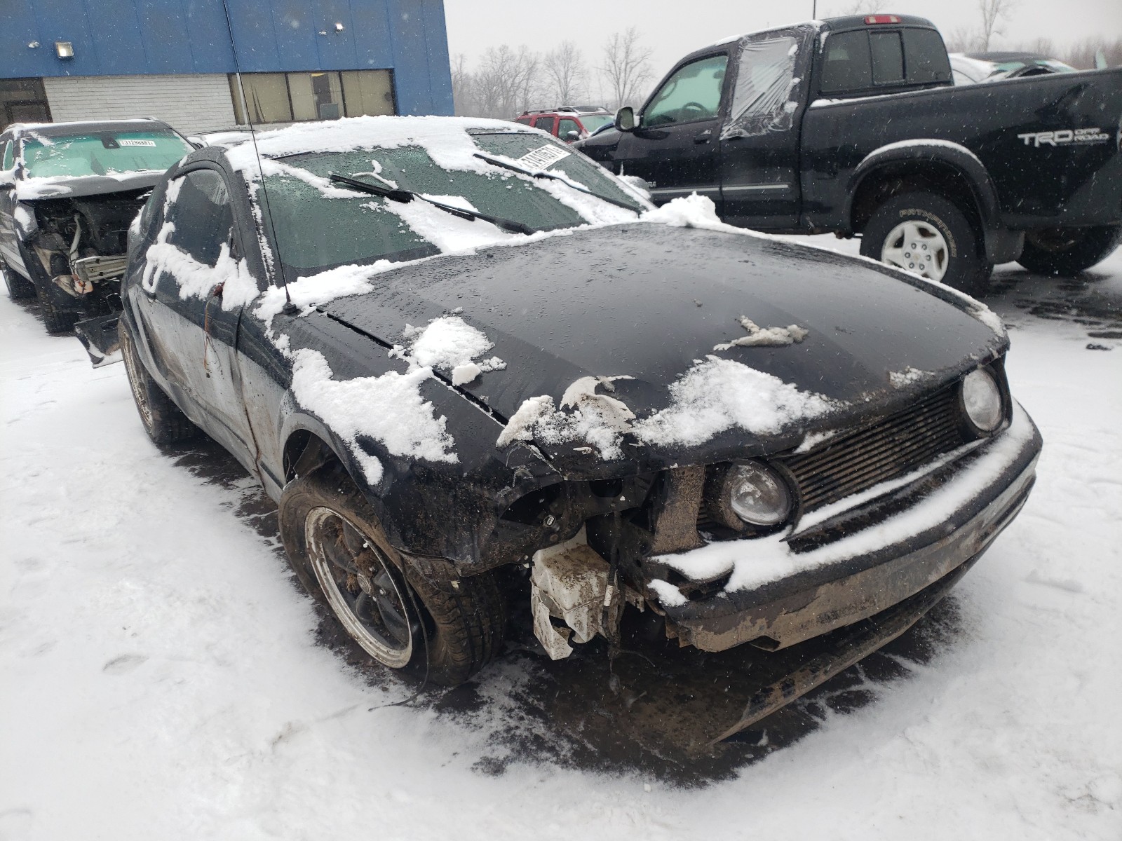 Ford Mustang (2006)