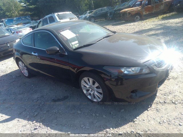 Honda Accord cpe (2010)