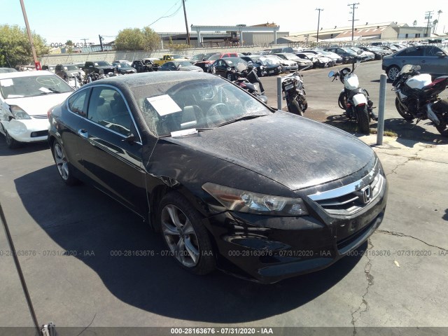 Honda Accord cpe (2012)