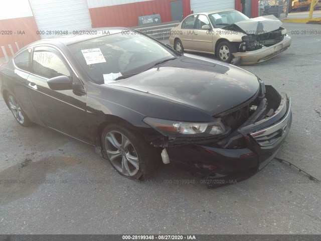 Honda Accord cpe (2011)