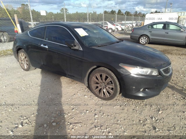 Honda Accord cpe (2010)