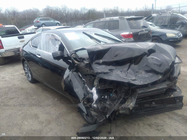 Honda Accord coupe (2014)