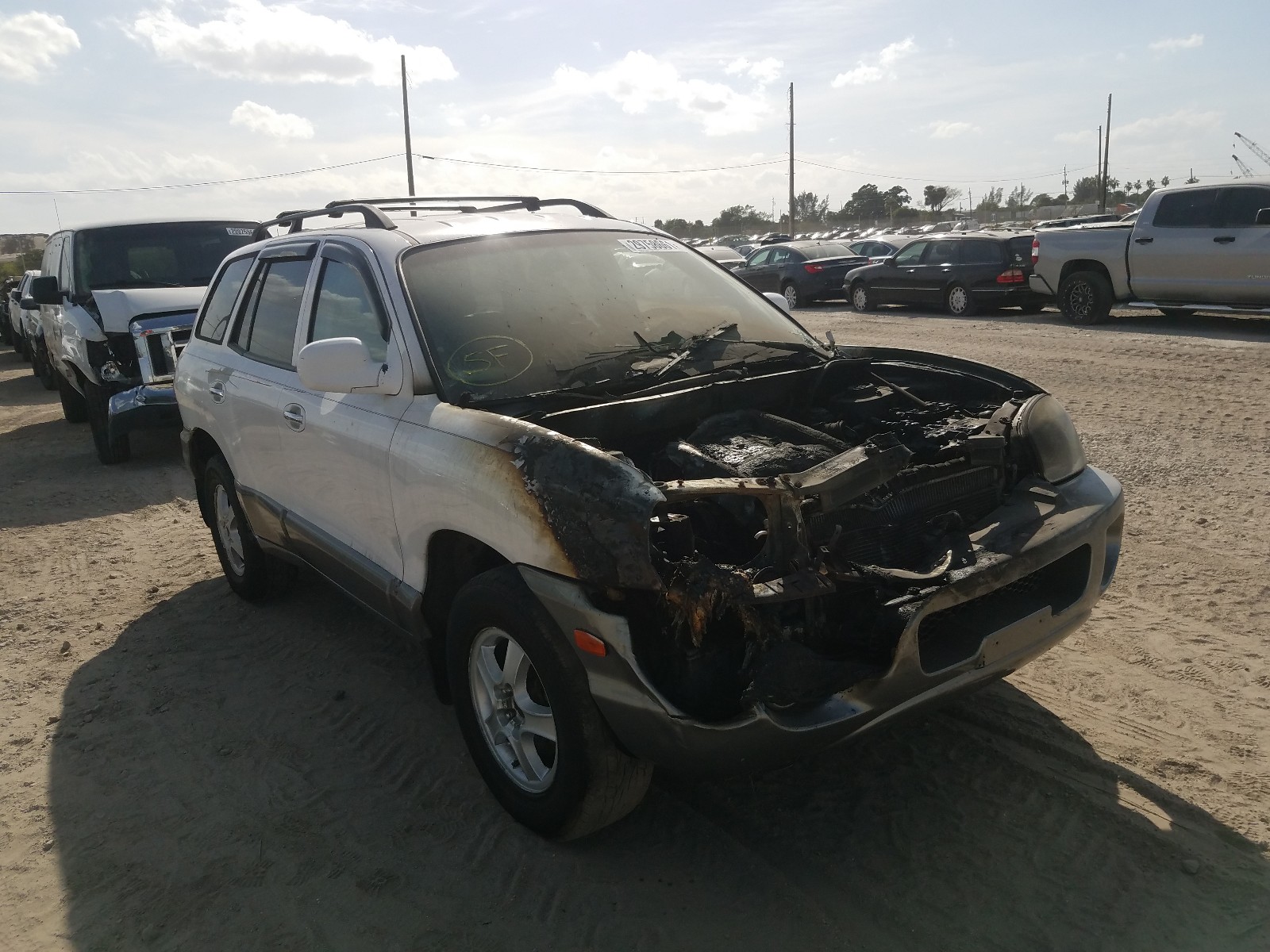 Hyundai Santa fe g (2002)