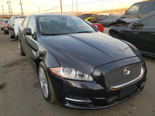 Jaguar Xjl portfo (2013)