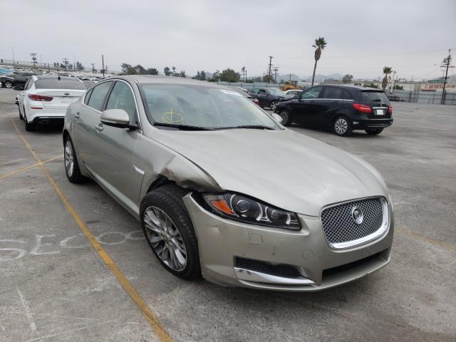 Jaguar Xf (2013)