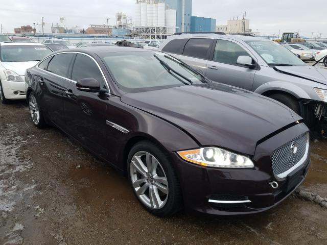 Jaguar Xjl portfo (2013)