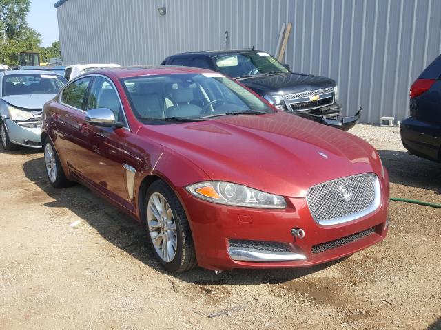 Jaguar Xf (2013)
