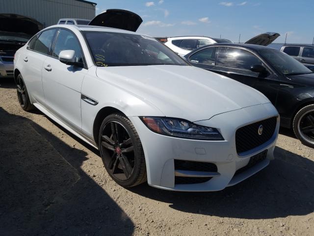 Jaguar Xf r - spo (2016)