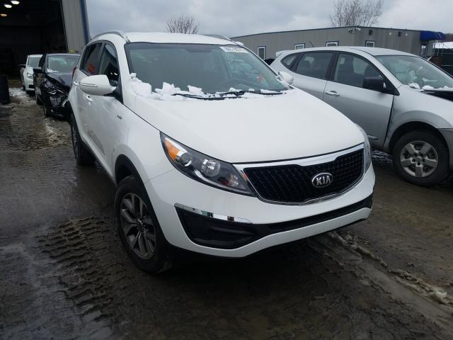 Kia Sportage l (2014)