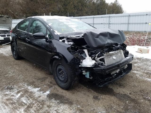 Kia Forte lx (2017)