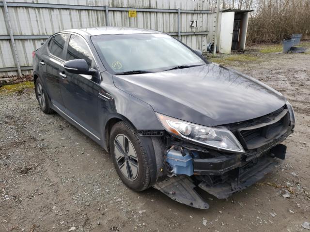 Kia Optima hyb (2012)