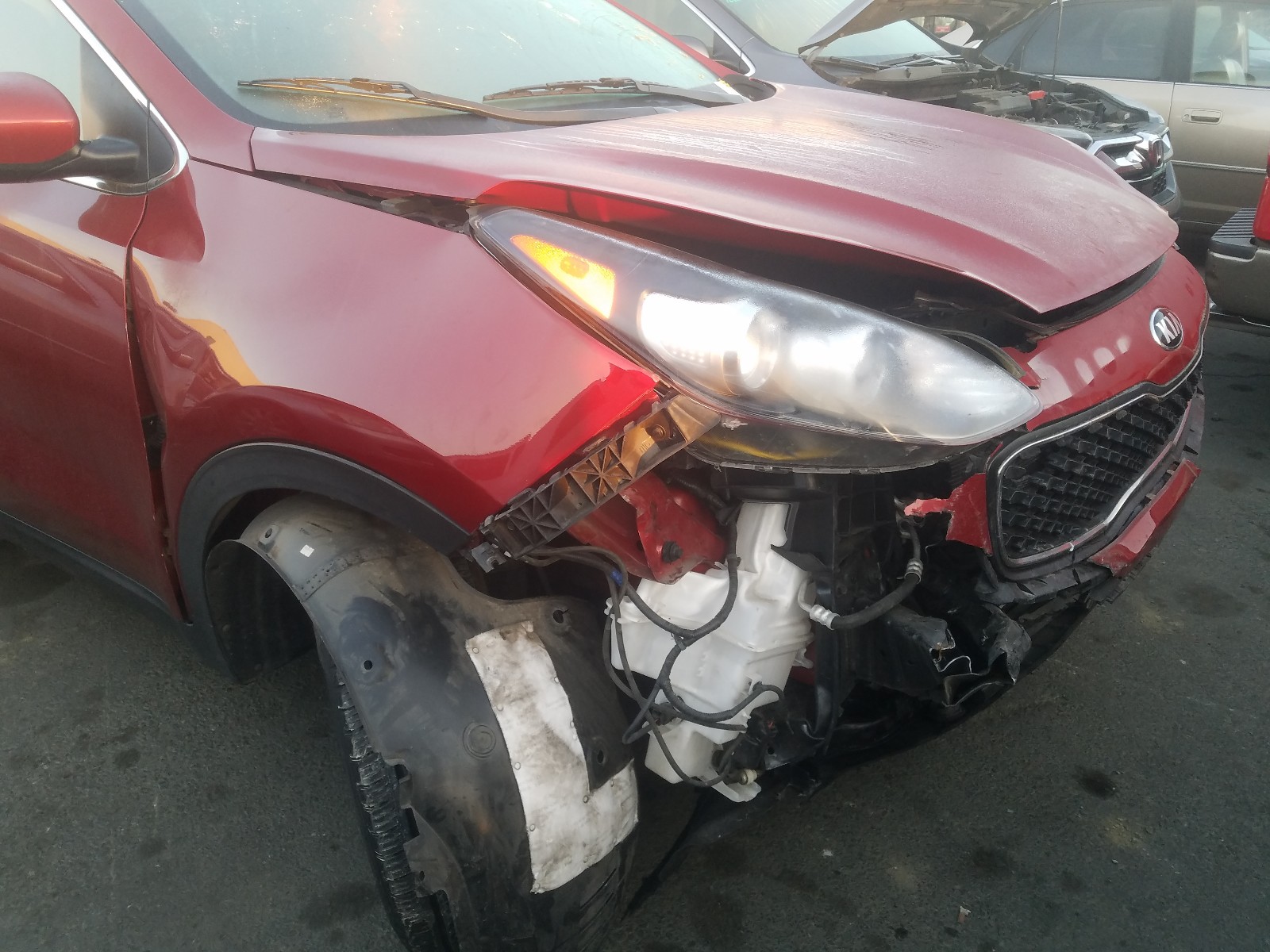 Kia Sportage l 2019