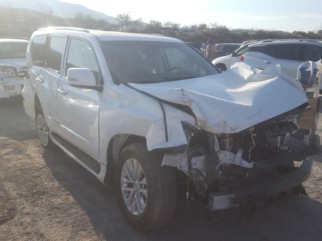 Lexus Gx 460 (2019)