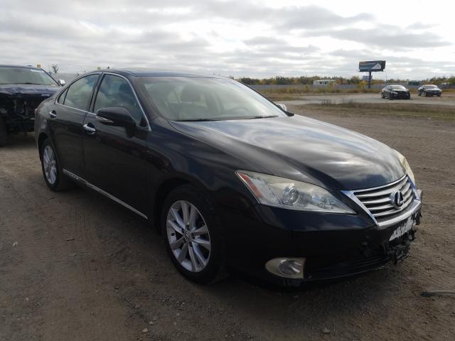 Lexus Es 350 (2010)