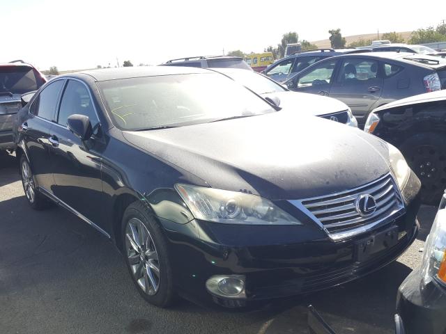 Lexus Es 350 (2010)