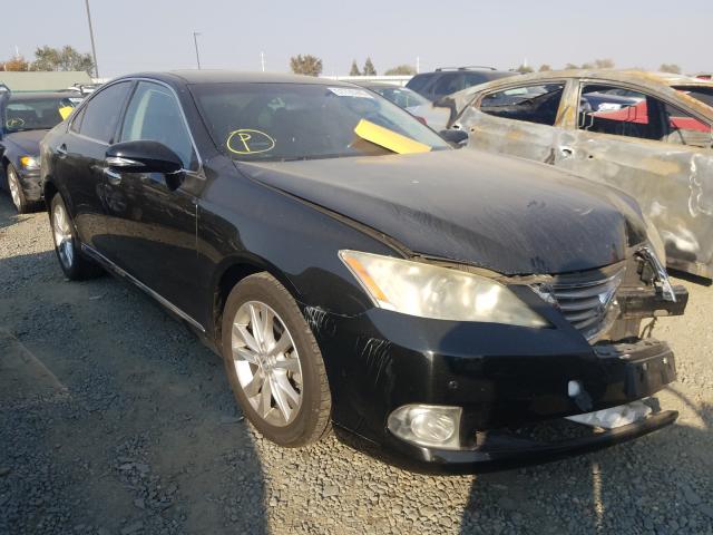 Lexus Es 350 (2010)