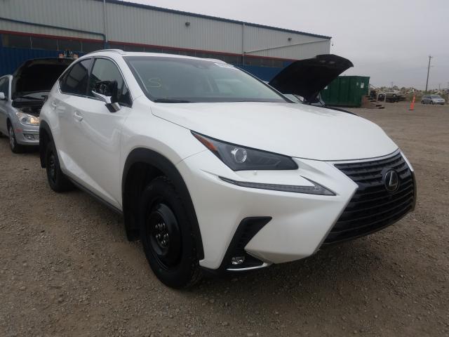 Lexus Nx 300 bas (2019)