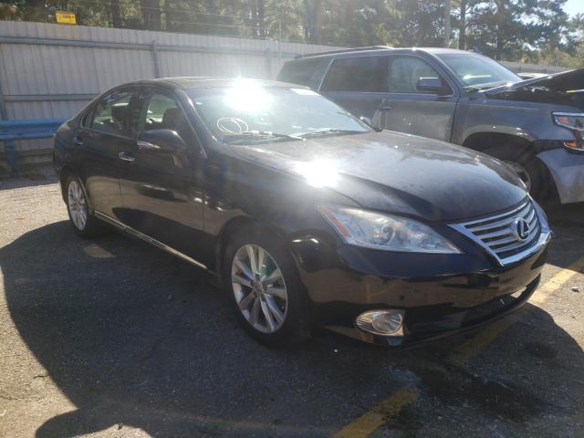 Lexus Es 350 (2010)