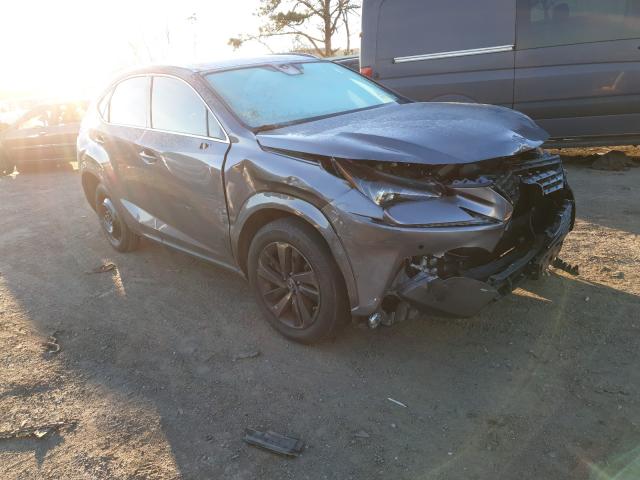Lexus Nx 300 (2020)